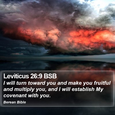Leviticus 26:9 BSB Bible Verse Image