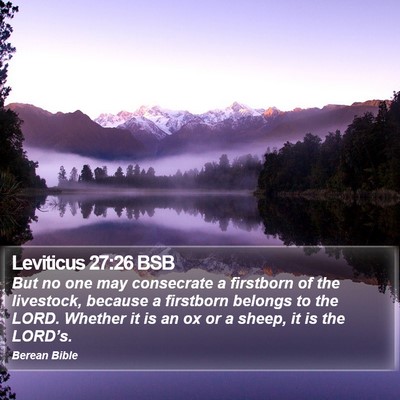 Leviticus 27:26 BSB Bible Verse Image