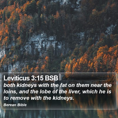 Leviticus 3:15 BSB Bible Verse Image