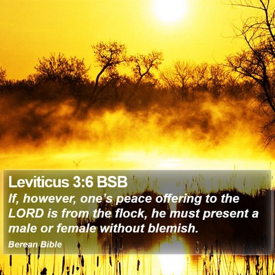 Leviticus 3:6 BSB Bible Verse Image