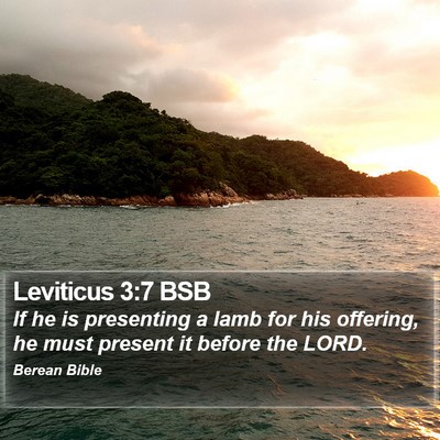 Leviticus 3:7 BSB Bible Verse Image