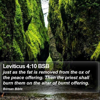 Leviticus 4:10 BSB Bible Verse Image