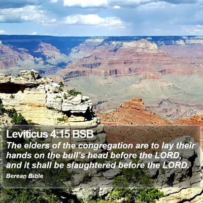 Leviticus 4:15 BSB Bible Verse Image
