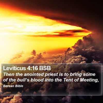 Leviticus 4:16 BSB Bible Verse Image