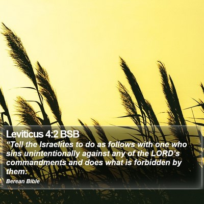 Leviticus 4:2 BSB Bible Verse Image