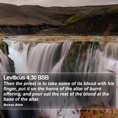 Leviticus 4:30 BSB Bible Verse Image
