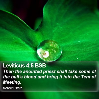 Leviticus 4:5 BSB Bible Verse Image