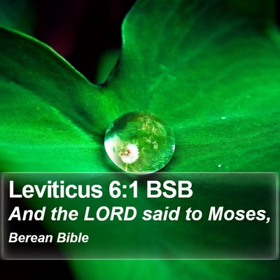 Leviticus 6:1 BSB Bible Verse Image
