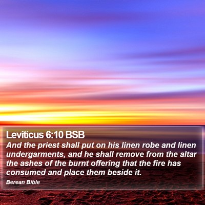 Leviticus 6:10 BSB Bible Verse Image