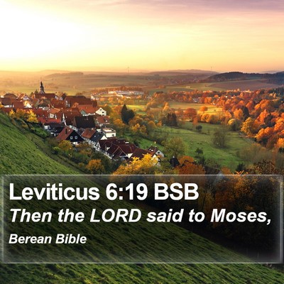 Leviticus 6:19 BSB Bible Verse Image