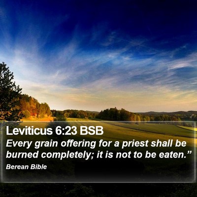 Leviticus 6:23 BSB Bible Verse Image