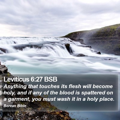 Leviticus 6:27 BSB Bible Verse Image