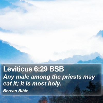 Leviticus 6:29 BSB Bible Verse Image