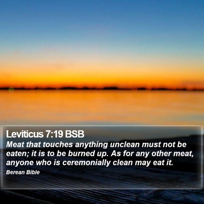 Leviticus 7:19 BSB Bible Verse Image