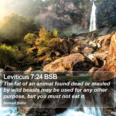 Leviticus 7:24 BSB Bible Verse Image