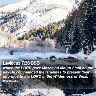 Leviticus 7:38 BSB Bible Verse Image