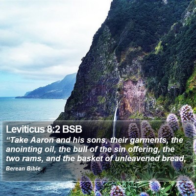 Leviticus 8:2 BSB Bible Verse Image