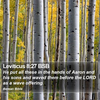 Leviticus 8:27 BSB Bible Verse Image