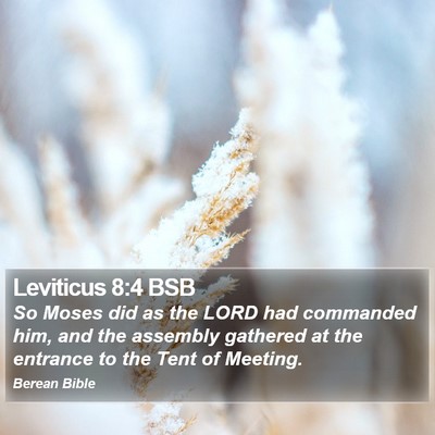 Leviticus 8:4 BSB Bible Verse Image