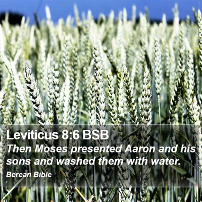 Leviticus 8:6 BSB Bible Verse Image
