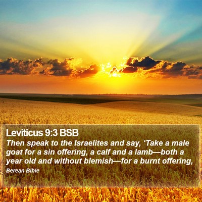 Leviticus 9:3 BSB Bible Verse Image