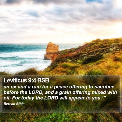 Leviticus 9:4 BSB Bible Verse Image