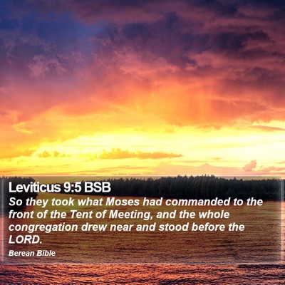 Leviticus 9:5 BSB Bible Verse Image