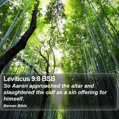 Leviticus 9:8 BSB Bible Verse Image
