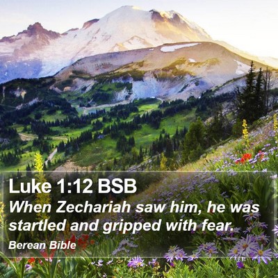 Luke 1:12 BSB Bible Verse Image
