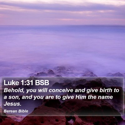 Luke 1:31 BSB Bible Verse Image