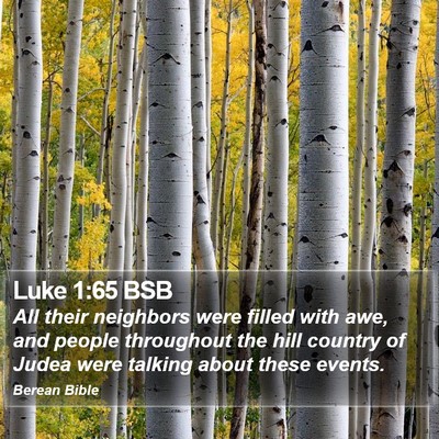 Luke 1:65 BSB Bible Verse Image