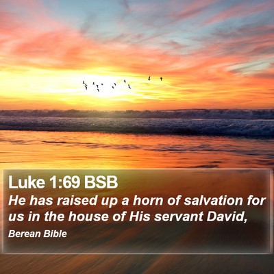 Luke 1:69 BSB Bible Verse Image