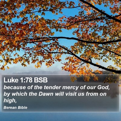 Luke 1:78 BSB Bible Verse Image