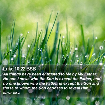Luke 10:22 BSB Bible Verse Image