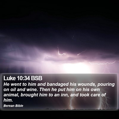 Luke 10:34 BSB Bible Verse Image