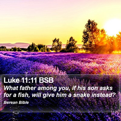 Luke 11:11 BSB Bible Verse Image