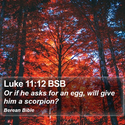 Luke 11:12 BSB Bible Verse Image