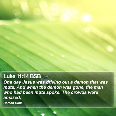 Luke 11:14 BSB Bible Verse Image