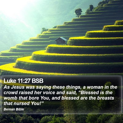 Luke 11:27 BSB Bible Verse Image