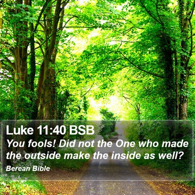 Luke 11:40 BSB Bible Verse Image
