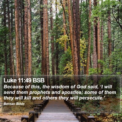 Luke 11:49 BSB Bible Verse Image