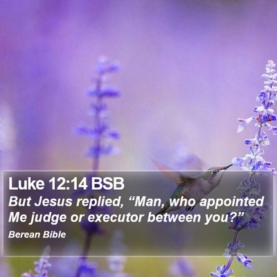 Luke 12:14 BSB Bible Verse Image