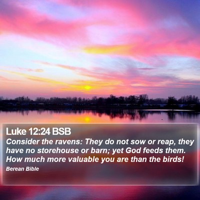 Luke 12:24 BSB Bible Verse Image