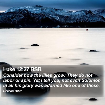 Luke 12:27 BSB Bible Verse Image
