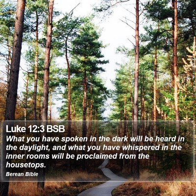 Luke 12:3 BSB Bible Verse Image