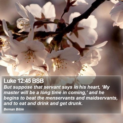 Luke 12:45 BSB Bible Verse Image