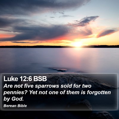 Luke 12:6 BSB Bible Verse Image