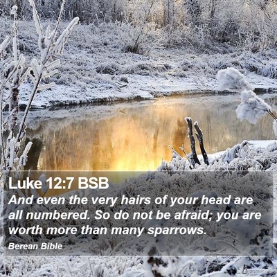 Luke 12:7 BSB Bible Verse Image