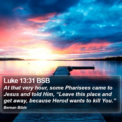 Luke 13:31 BSB Bible Verse Image