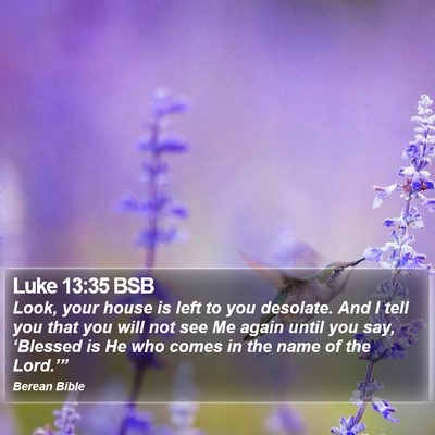 Luke 13:35 BSB Bible Verse Image